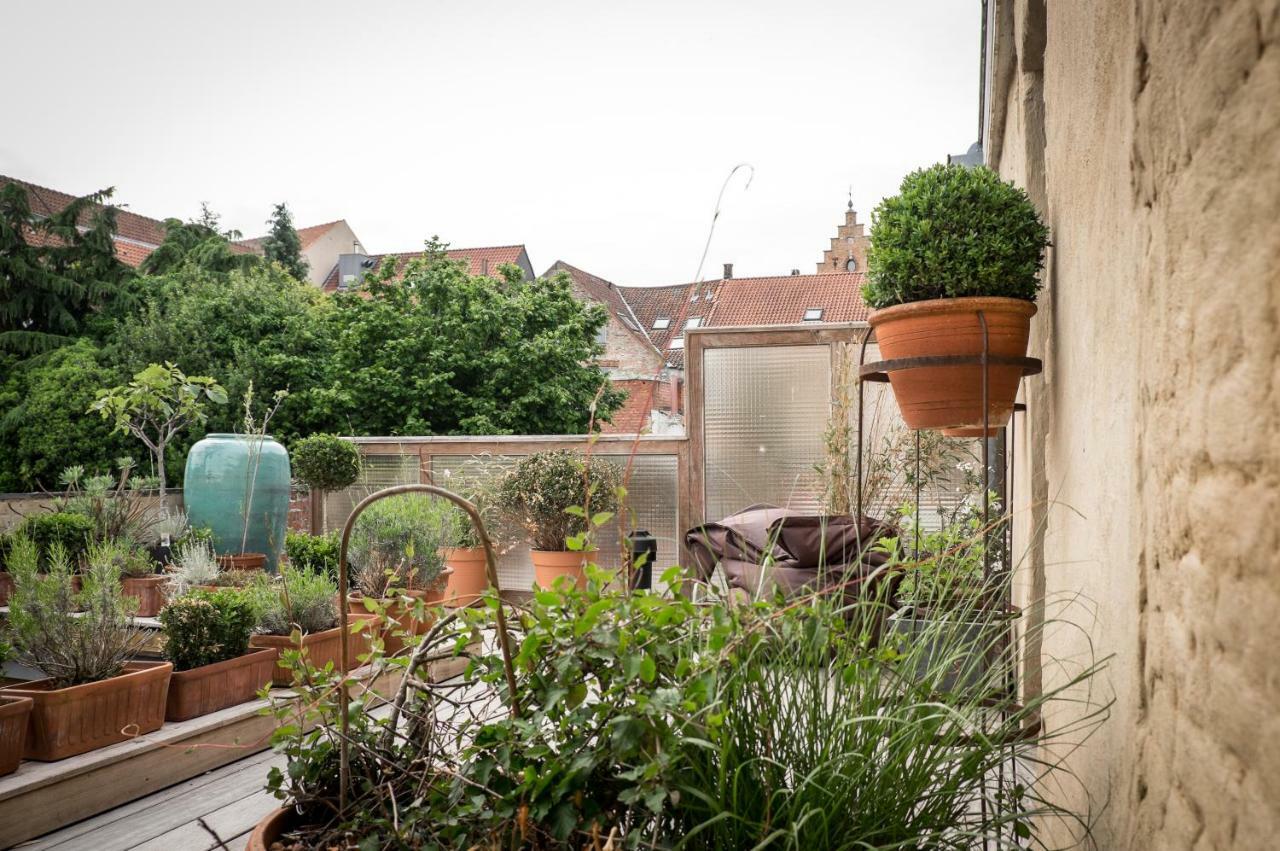 Csar Private Guesthouse Brugge Eksteriør bilde